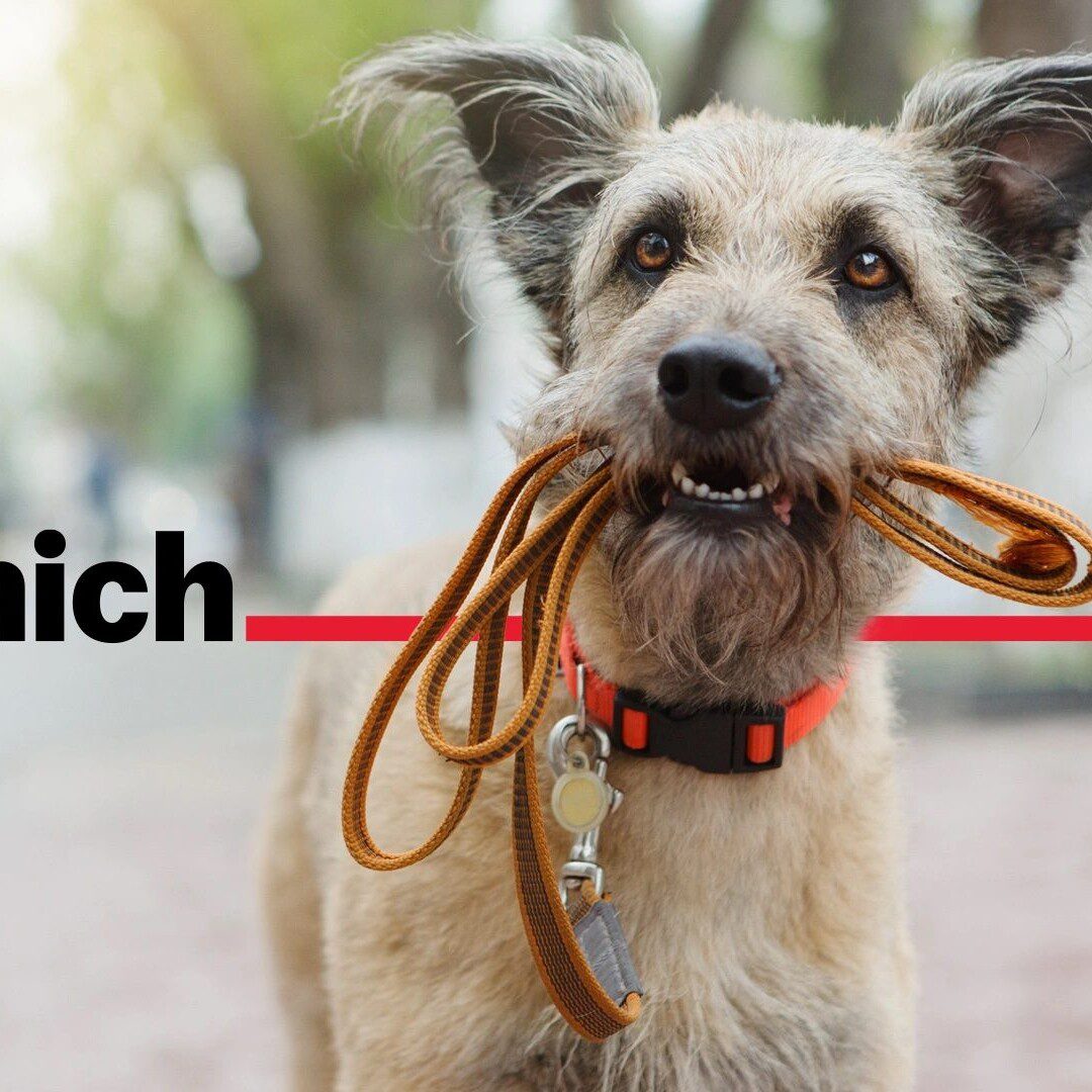 May 2023 News Roundup