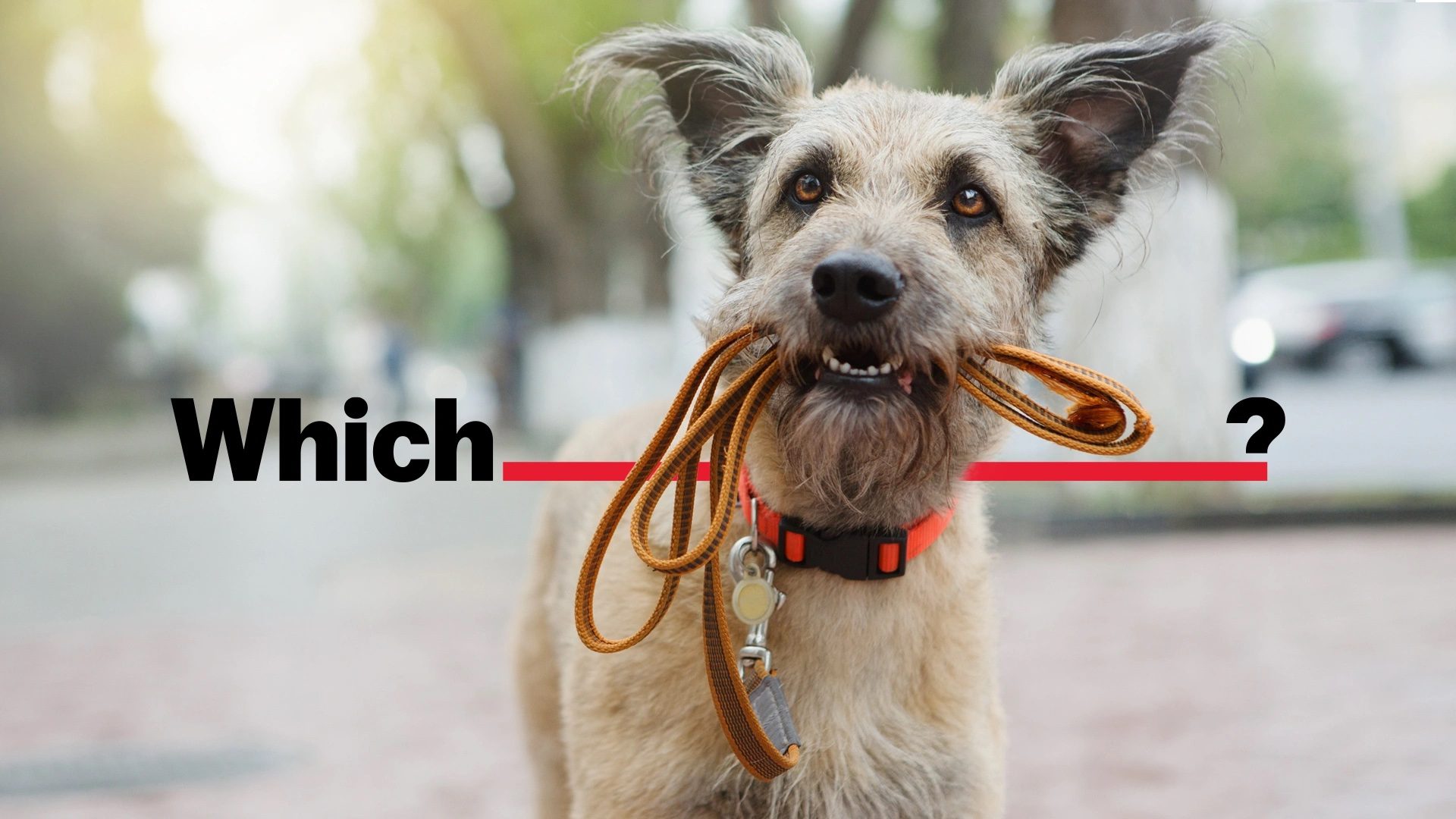 May 2023 News Roundup