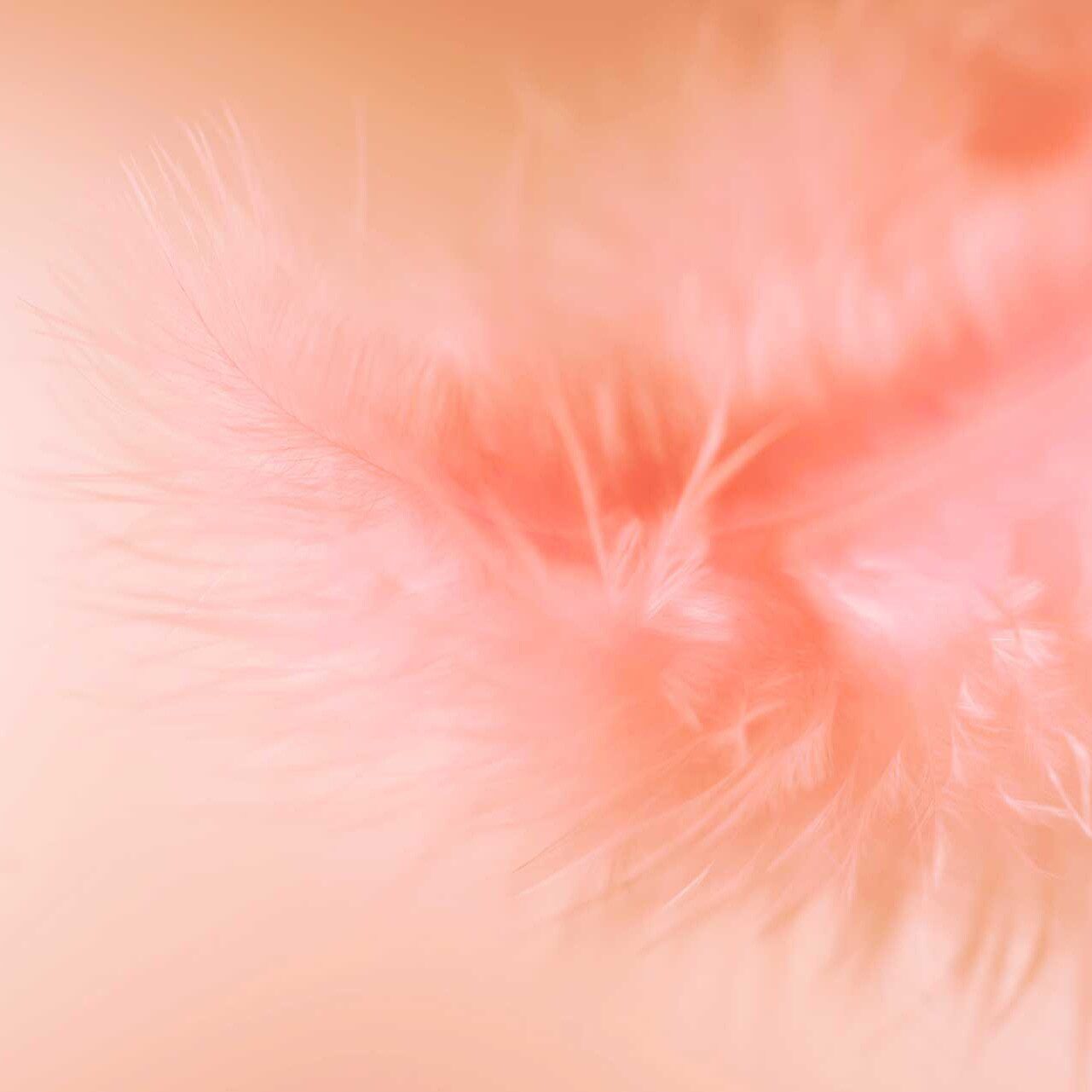 Pantone Color of the Year 2024