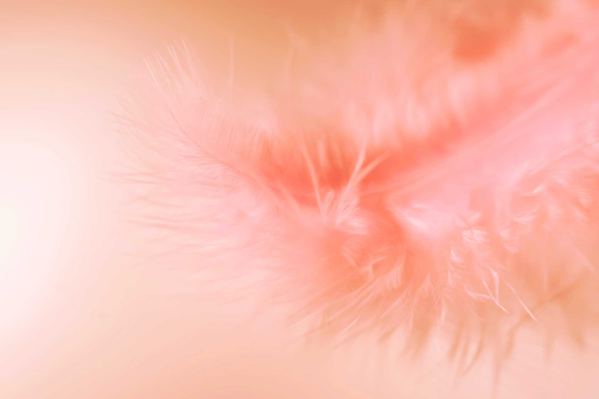 Pantone Color of the Year 2024